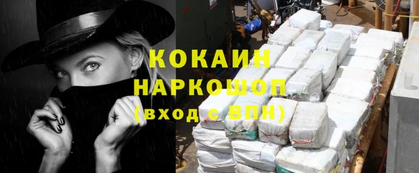 гашик Алзамай