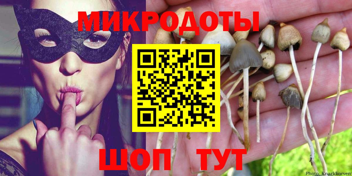 Галлюциногенные грибы Psilocybe  Вход с VPN  Галлюциногенные грибы мицелий  Знаменск 