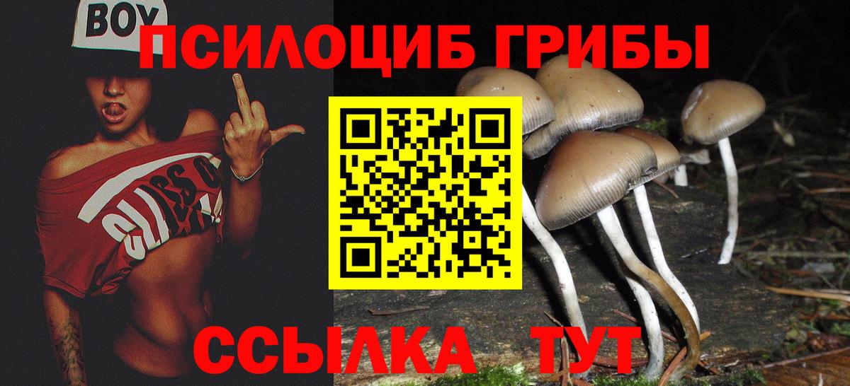 Псилоцибиновые грибы MAGIC MUSHROOMS Знаменск