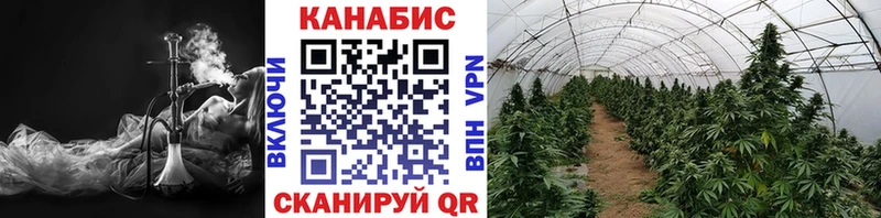 KRAKEN зеркало Знаменск Конопля SATIVA & INDICA
